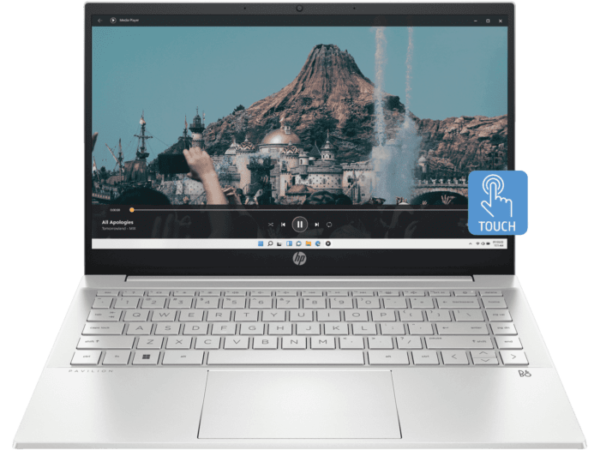 HP Pavilion 35.6 cm (14) Laptop 14-dv2041TU, Silver